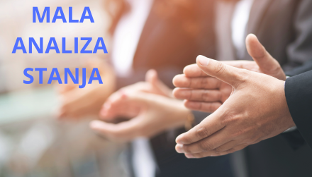 Mala analiza stanja